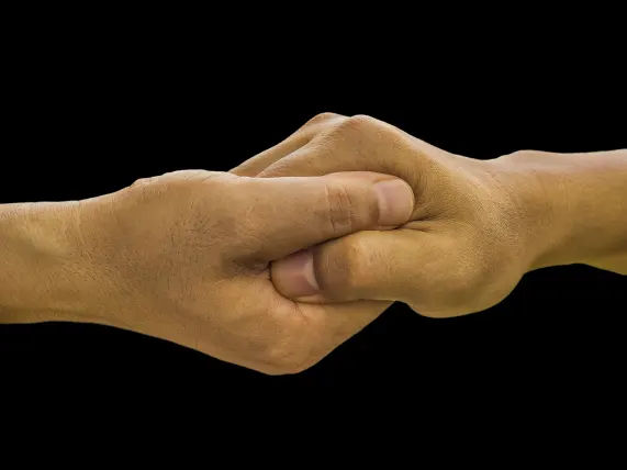 Casino Stake 7 Soporte